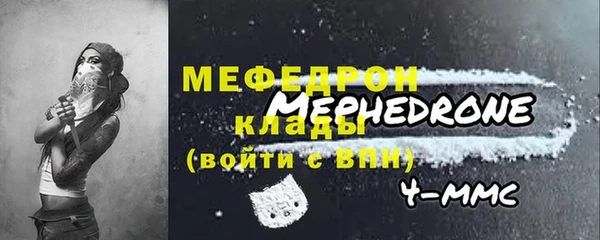 гидра Богородицк