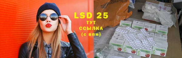 стафф Медногорск