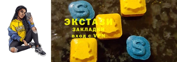 гидра Богородицк