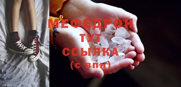 гидра Богородицк