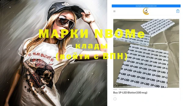 гидра Богородицк
