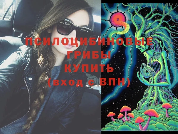метамфетамин Богданович
