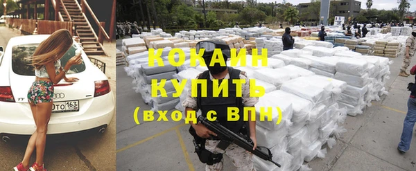 гидра Богородицк