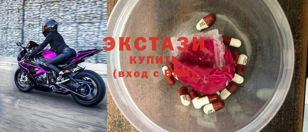 гидра Богородицк