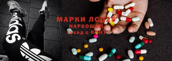 гидра Богородицк