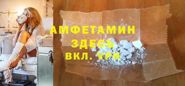 гидра Богородицк