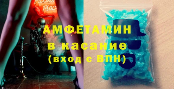 гидра Богородицк