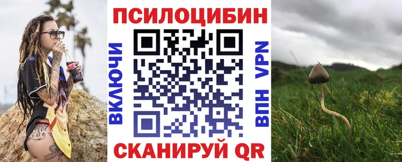 Псилоцибиновые грибы мицелий  мориарти клад  Гусиноозёрск 